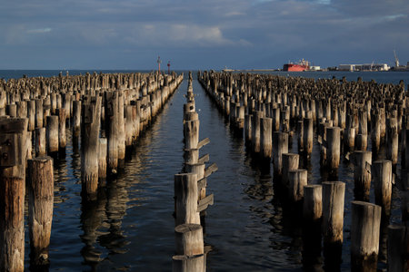 Tranquil pier full of poles at sunsetの写真素材