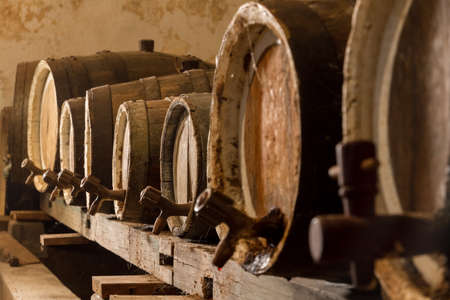 Ancestral wine barrelsの写真素材