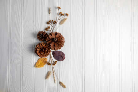 Autumn composition made with autumn leaves, branches and flowers, copy space