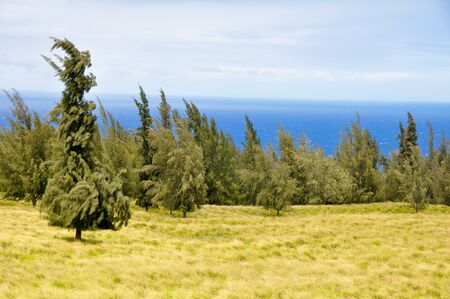 Big Island East Shore, Hawaiiの写真素材