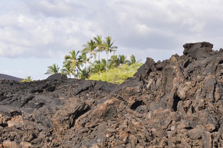 Lava field at Kekaha Kai state park, Hawaiiの写真素材