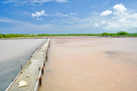 Cabo Rojo salt flats, Puerto Ricoの写真素材