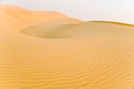 Sand dunes, Jaisalmer (India)の写真素材