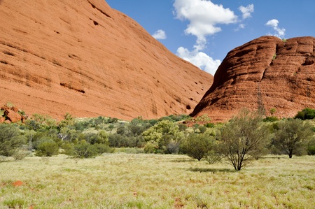 The Olgas, Australian desertの写真素材
