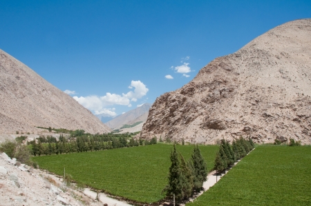 Elqui valley, Chile の写真素材