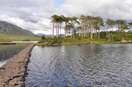Footpath through a lakeの写真素材