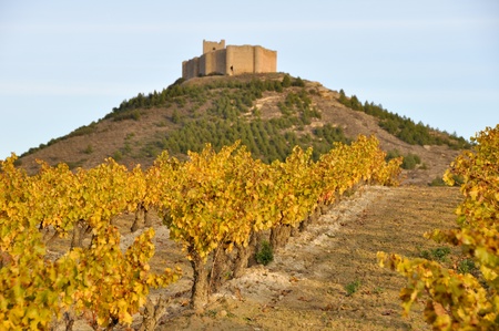 Vineyards and Davalillo castle, La Rioja,  Spain のeditorial素材