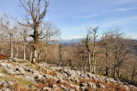 Gorbea mountain, Basque Country, Spain