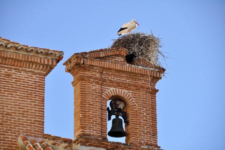 White stork on a belfry, Alcala de Henares, Madrid  Spain 