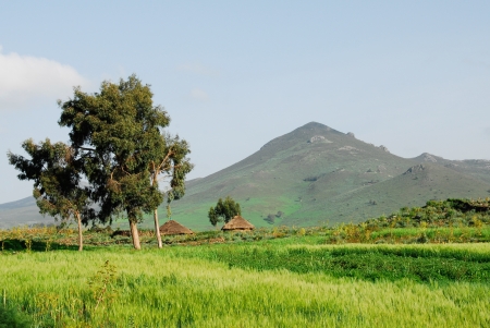 Thatched roof huts, Ethiopian highlandsの写真素材
