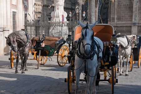 Carriages near Cathedral, Seville, Spainの写真素材