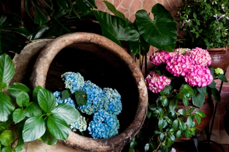 Festival of the Courtyards of Cordoba, Spainの写真素材