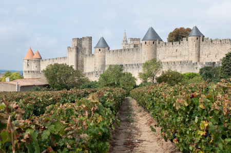 Vineyards and medieval town of Carcassonne, Franceのeditorial素材