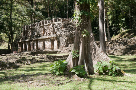 Archaeological site of Yaxchilan, Chiapas, Mexicoの写真素材