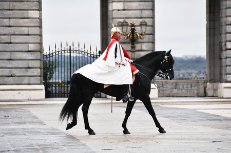 Royal Guards participate in the Changing of the Guard at Royal Palace on february 12, 2014 in Madrid, Spainのeditorial素材