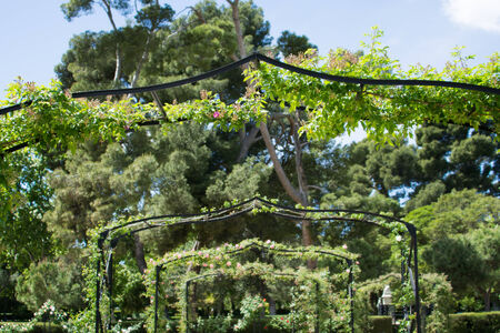 Garden of La Rosaleda, Retiro Park, Madrid, Spainの写真素材
