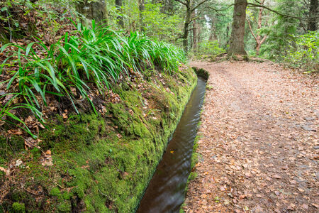 Levada of Caldeirao Verde, Madeira, Portugalの写真素材
