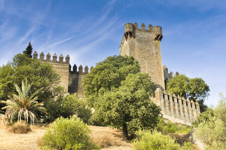 Castle of Almodovar del Rio, Spainのeditorial素材