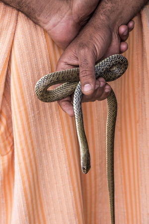 Snake charmer at Jemaa elFnaa square Marrakesh Morocco