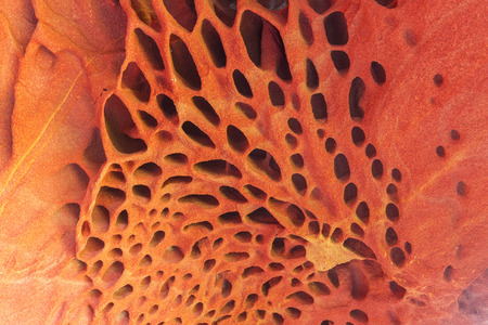 Colorful rocks in the valley of Labetxu, Jaizkibel, Basque Country, Spainの写真素材