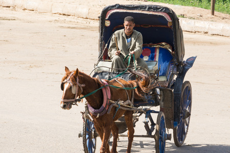 Horse Carriage with tourists near the dock on January 28, 2015 in Edfu, Egyptのeditorial素材
