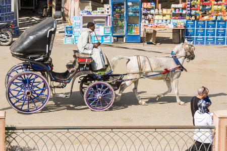 Horse Carriage with tourists near the dock on January 28, 2015 in Edfu, Egyptのeditorial素材