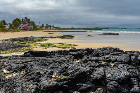 Beach of Puerto Villamil, Isabela Island, Ecuadorの写真素材