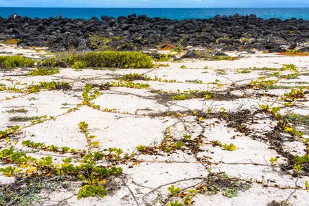 Loberia beach, San Cristobal Island, Ecuadorの写真素材