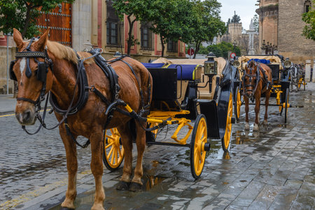 Horse-drawn carriages in Seville, Spainのeditorial素材