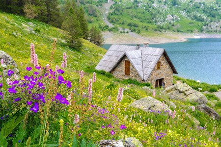 Allos Lake at National Park of Mercantour, Alps, Franceのeditorial素材