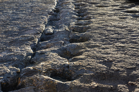 Real dinosaur footprints, Torotoro National Park, Potosi, Boliviaの写真素材