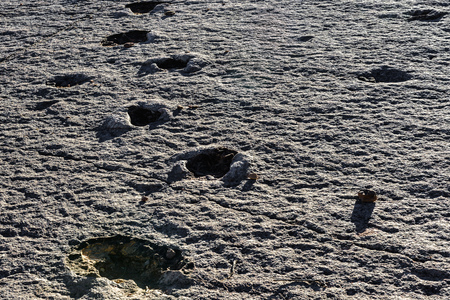 Real dinosaur footprints, Torotoro National Park, Potosi, Boliviaの写真素材