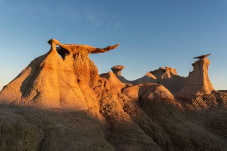 The Wings rock formation at sunrise, Bisti / De-Na-Zin Wilderness Area, New Mexico, USA