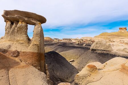 Bisti / De-Na-Zin Wilderness Area, New Mexico, USA