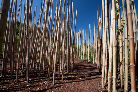 Ponte do Lima, Portugal - August 17, 2011: the 7th International Garden Festival was a competition between 58 projects received from 12 countries.のeditorial素材