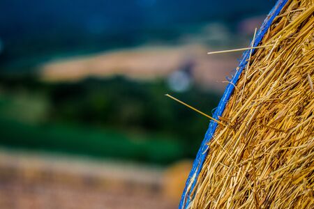 Hills and Tuscan countrysideの写真素材