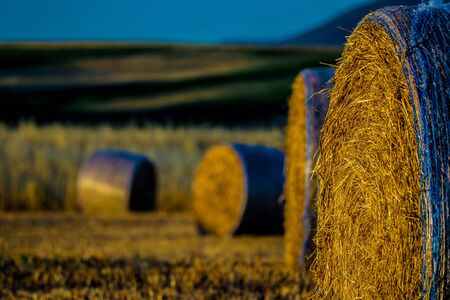 Hills and Tuscan countrysideの写真素材