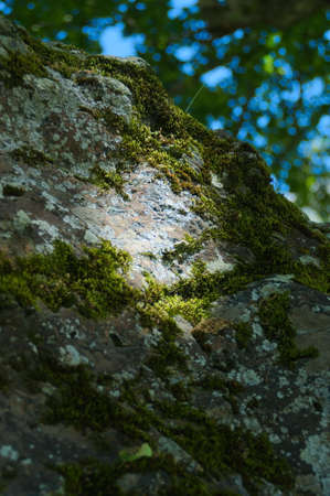 Light Spotの写真素材