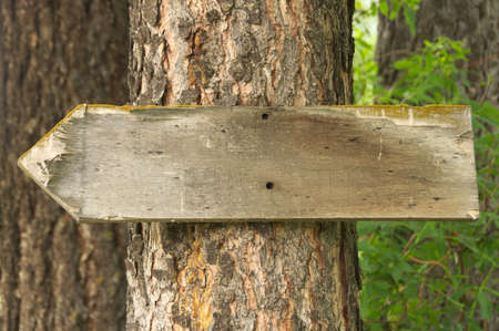 Empty signの写真素材