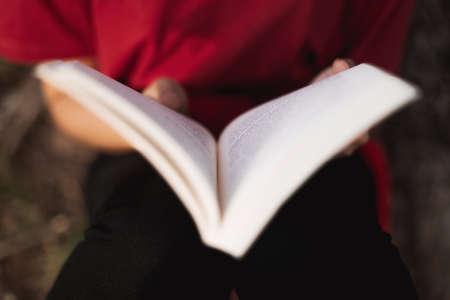 Young woman with glasses on her twenties chatting on her phone while sitting in a bench of a park. She is smiling and wearing a red sweater and a ponytail. She is backlit with daylight at sunsetの写真素材