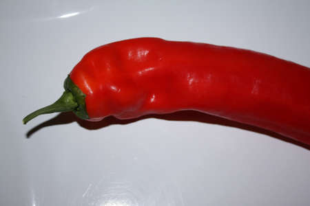 Red Pepperの写真素材