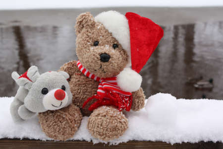 Winter Funの写真素材