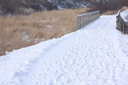 Scenic Winterの写真素材