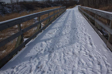 Scenic Winterの写真素材