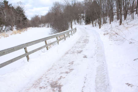 Shades of Winterの写真素材