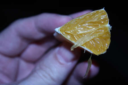 Orangeの写真素材