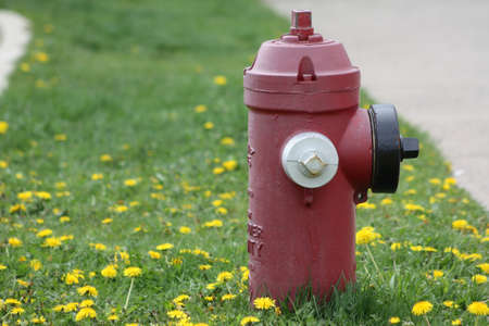 fire-hydrantの写真素材