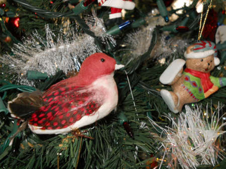 Oh Christmas Treeの写真素材