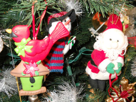 Oh Christmas Treeの写真素材