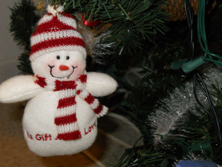 Oh Christmas Treeの写真素材